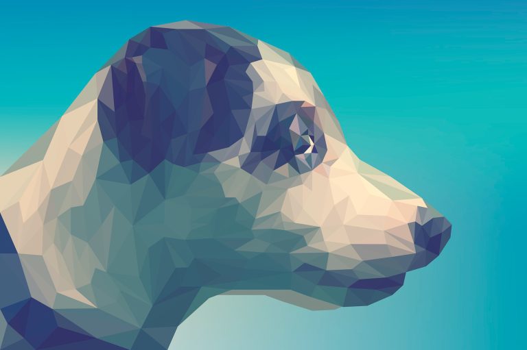 Spectacular designs of animals in polygonal style