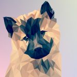 How to make full-color polygonal drawings