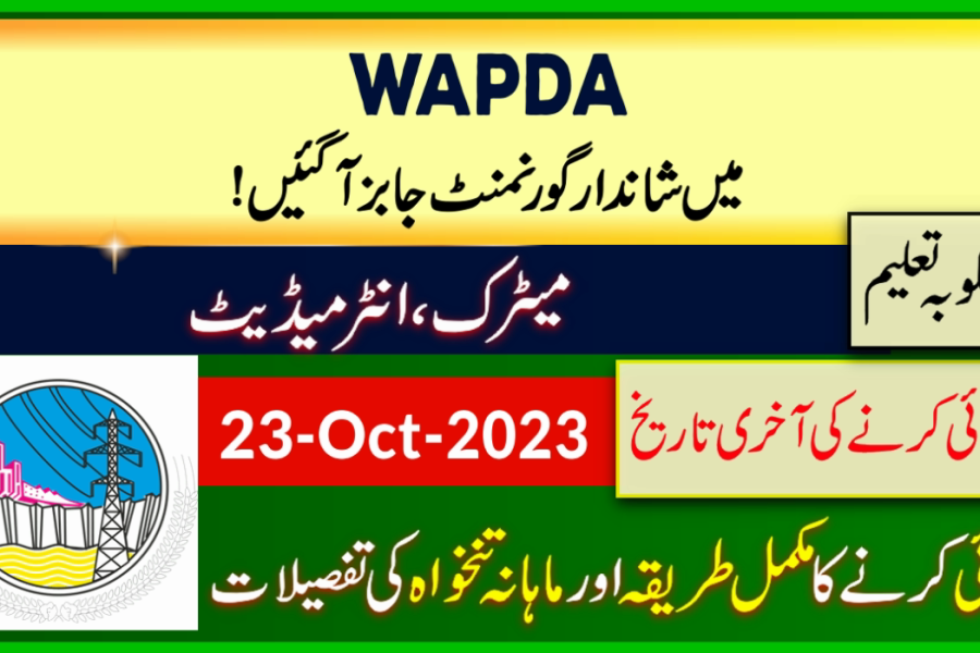 WAPDA New Government Jobs 2023 Online Apply wapda.gov.pk